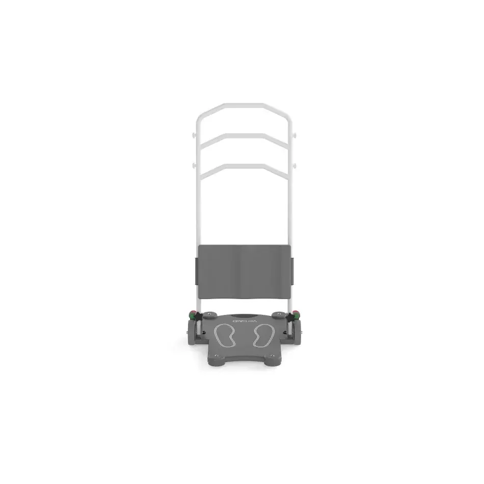 vertiaid (4).webp